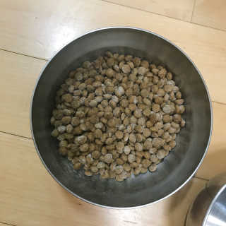 재로우 제로우 펫 도필러스 반려동물 유산균 영양제 70.5g — 4점을 준 리뷰어가 2018년 8월 올린 사용 사진