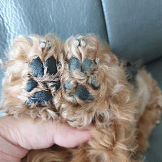 썰뇽님이 올린 리뷰 사진 2