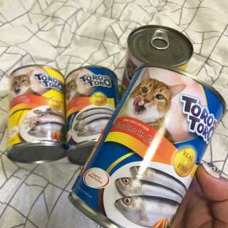 [펫토리아]토로토로 고양이 주식캔 — 4.5점을 준 리뷰어가 2019년 8월 올린 사용 사진
