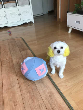 몽룡맘님이 올린 리뷰 사진 1