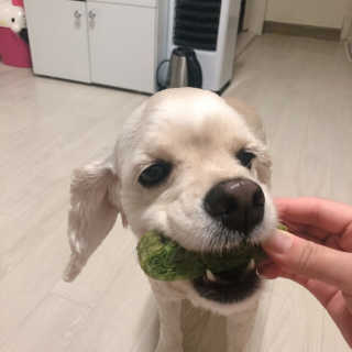 쑝쑝님이 올린 리뷰 사진 3