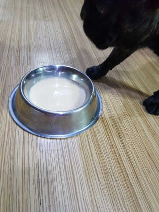 탱크돌콩님이 올린 리뷰 사진 1