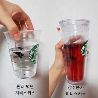 장수농가 브라질너트, 히비스커스 — 5점을 준 리뷰어가 2018년 7월 올린 사용 사진