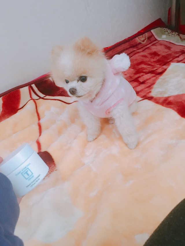 SN 에스엔 티크림 리뷰 사진