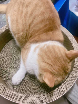 만쟈님님이 올린 리뷰 사진 3