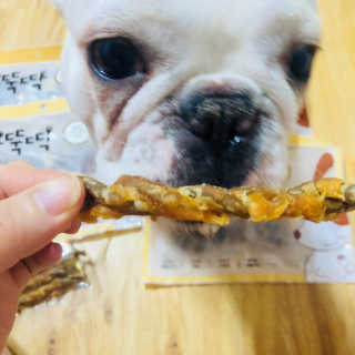 [펫토리아] 뚝딱뚝딱 400g 강아지 간식 베스트5종 — 5점을 준 리뷰어가 2019년 1월 올린 사용 사진
