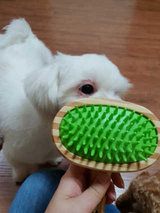 하승님이 올린 리뷰 사진 4