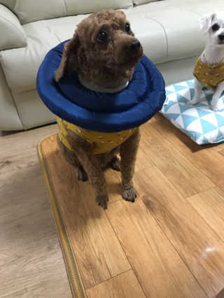 SeolheeLee님이 올린 리뷰 사진 2