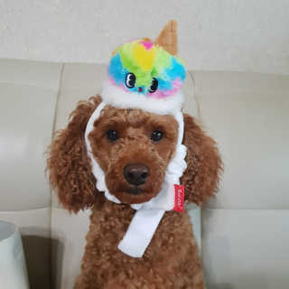 뷰티님이 올린 리뷰 사진 1