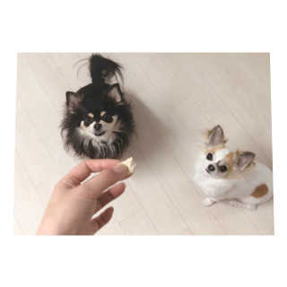 은쓸님이 올린 리뷰 사진 2