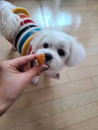 무무님이 올린 리뷰 사진 1