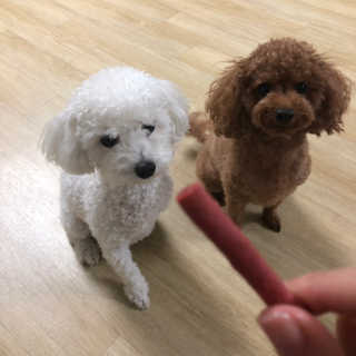 리뷰크러쉬님이 올린 리뷰 사진 2