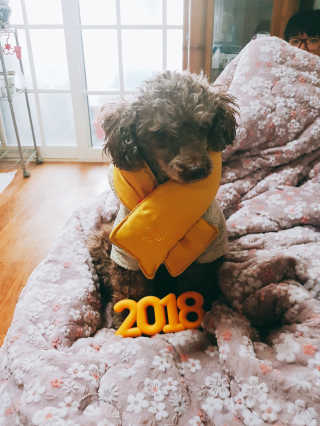 이예림님이 올린 리뷰 사진 3