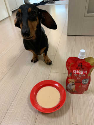 닥터할리펫밀크 8종 — 3점을 준 리뷰어가 2019년 11월 올린 사용 사진