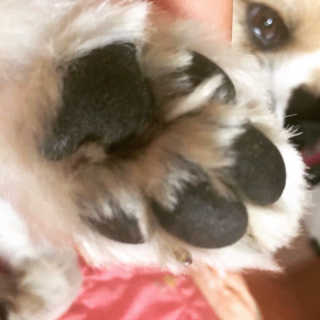 하블리님이 올린 리뷰 사진 4