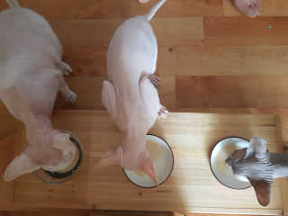 마뇨님이 올린 리뷰 사진 3