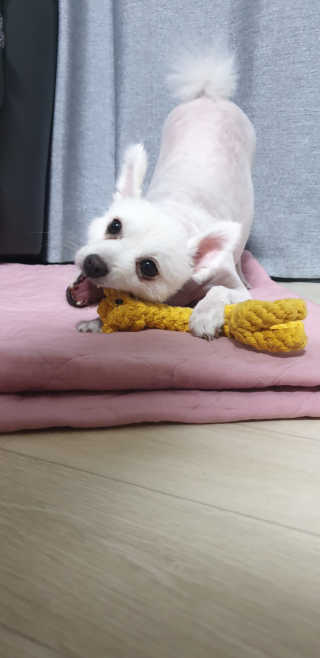 지혴님이 올린 리뷰 사진 3