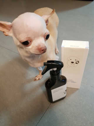졍e.님이 올린 리뷰 사진 3