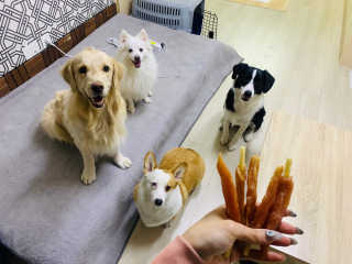 라효님이 올린 리뷰 사진 1