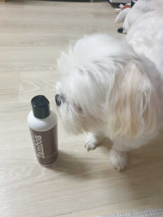 꼬물이님이 올린 리뷰 사진 2