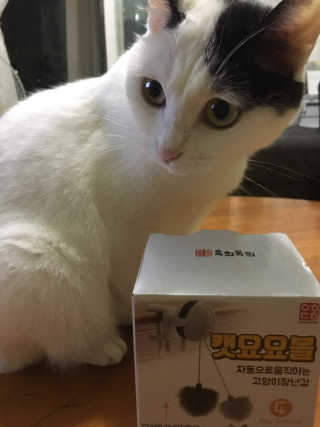 퀸민님이 올린 리뷰 사진 2