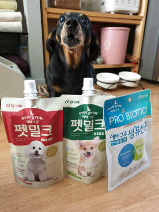[빙그레] 에버그로 생유산균 1봉（10포입）+펫밀크2팩 — 4점을 준 리뷰어가 2019년 3월 올린 사용 사진