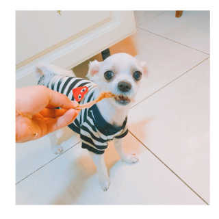 유나뀨님이 올린 리뷰 사진 3