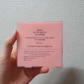 [블랙루즈] 피치 커버 벨벳 쿠션 2종 중 택1 — 3점을 준 리뷰어가 2019년 9월 올린 사용 사진