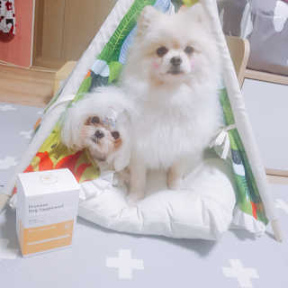 뚱이땅콩맘님이 올린 리뷰 사진 3