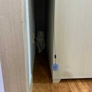 hyyunseo님이 올린 리뷰 사진 3