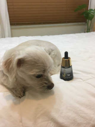 gotu01님이 올린 리뷰 사진 2