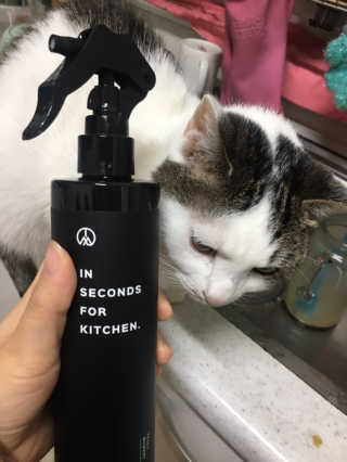 PEACE MOMENT 피스모먼트 인세컨즈포키친 320mL 천연살균소독제 — 4.67점을 준 리뷰어가 2018년 11월 올린 사용 사진