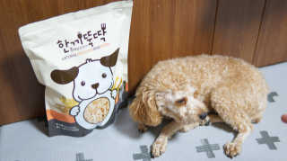 [펫토리아] 맛도 영양도 BEST 한끼뚝딱 강아지 사료 — 5점을 준 리뷰어가 2018년 12월 올린 사용 사진