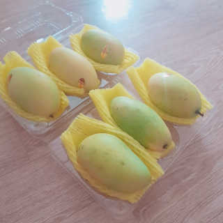 박수인님이 올린 리뷰 사진 1