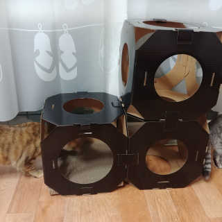 SoheeKim님이 올린 리뷰 사진 2