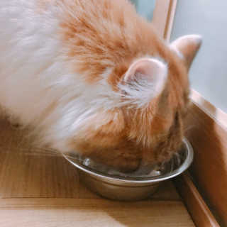 nothing님이 올린 리뷰 사진 3