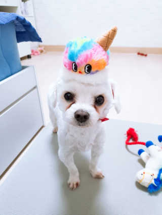 황선아님이 올린 리뷰 사진 4