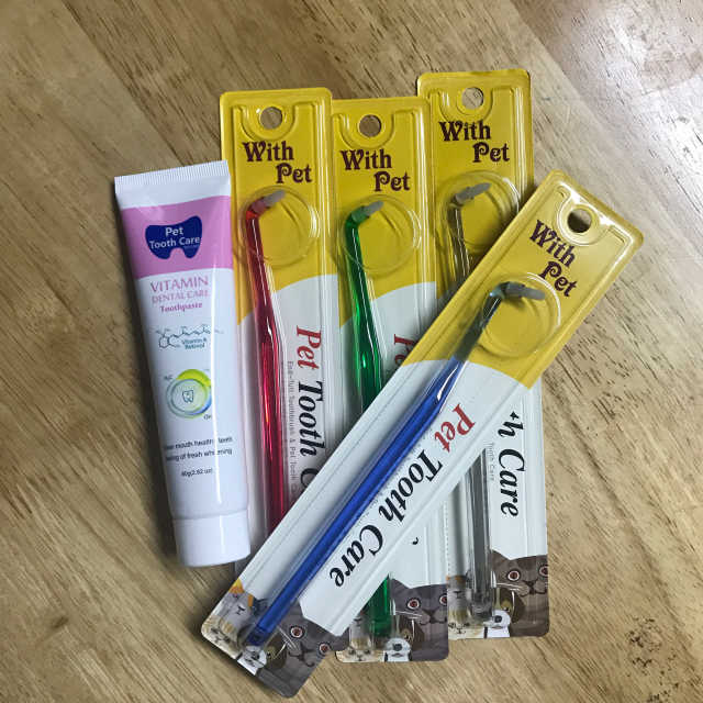 글로벌펫 애완칫솔 4종 리뷰 사진