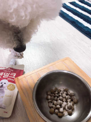 [빙그레] 에버그로 생유산균 1봉（10포입）+펫밀크2팩 — 5점을 준 리뷰어가 2019년 5월 올린 사용 사진