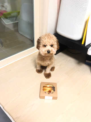 예림이그램님이 올린 리뷰 사진 1