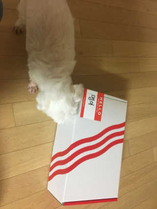 황혜빈님이 올린 리뷰 사진 1
