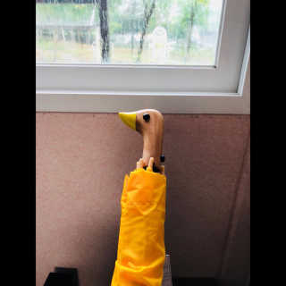 면경님이 올린 리뷰 사진 1