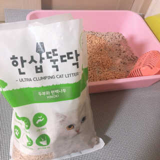 [펫토리아] BEST 고양이두부모래 6L 한삽뚝딱 — 4.5점을 준 리뷰어가 2019년 1월 올린 사용 사진