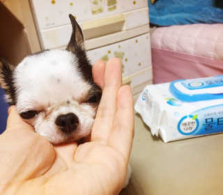 ❤️둔순이❤️님이 올린 리뷰 사진 3