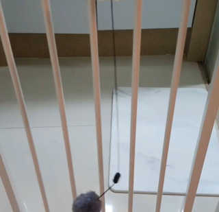 꼄딩님이 올린 리뷰 사진 2