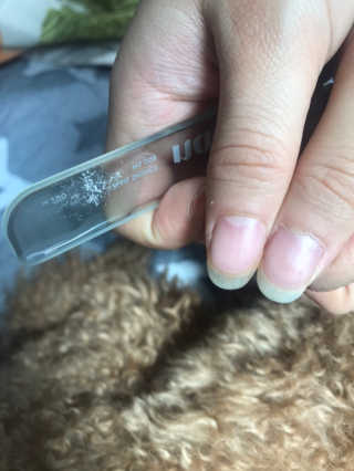 으나햐님이 올린 리뷰 사진 3