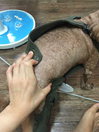 김하마님이 올린 리뷰 사진 2