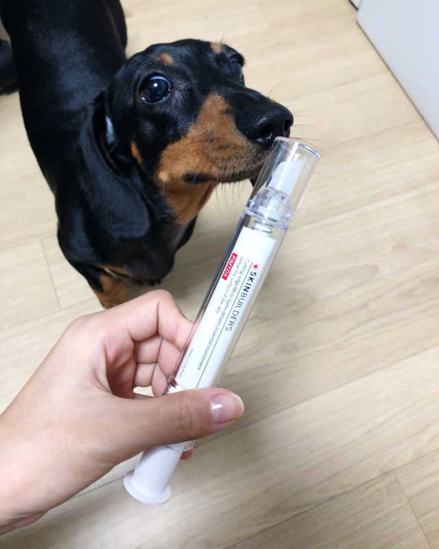 핌톡스 리뷰 사진
