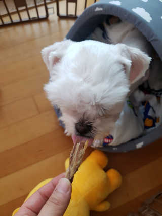 루루님이 올린 리뷰 사진 1