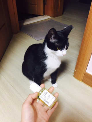 후개미님이 올린 리뷰 사진 3